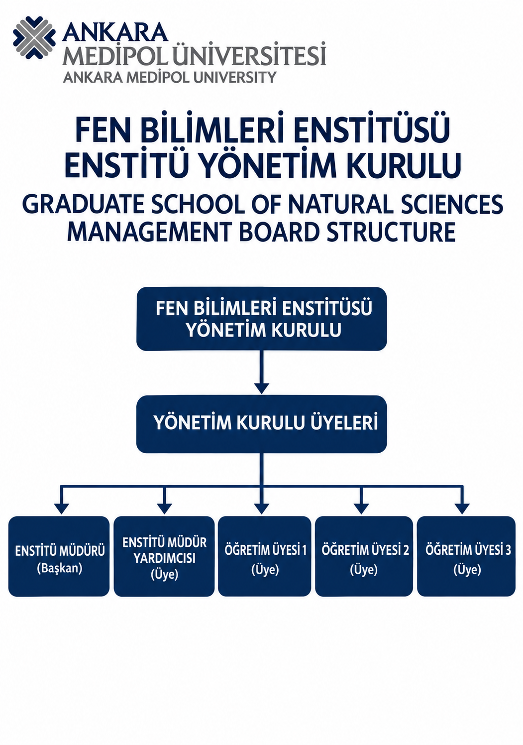 Yonetim kurulu