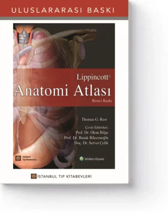 Lippincott Anatomi Atlası (2.Baskı)